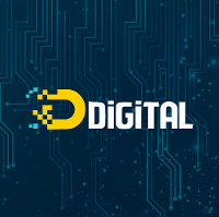 Digital Software Inc