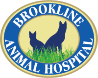 Brookline Animal Hopital