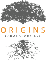 Origins Laboratory