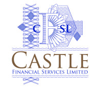 Castle financial services
