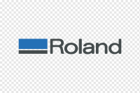 Roland dg brasil