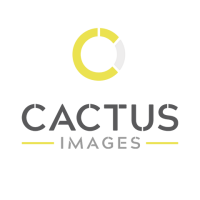 Cactus images ltd