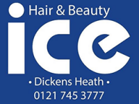 Ice hair and beauty company
