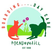 Meadowhill cattery