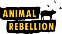 Animal rebellion