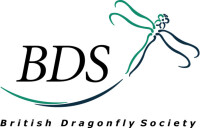 British dragonfly society