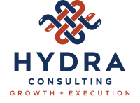 Hydra consulting