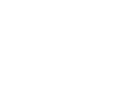 Irwin project management