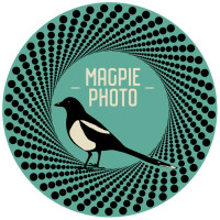 Magpie photographic