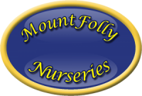 Mount folly nurseries