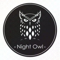 Night owl art