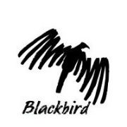 Blackbird technologies