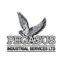 Pegasus industrial services