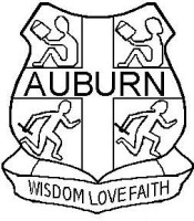 Auburn public schools