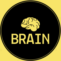 Brain & software international