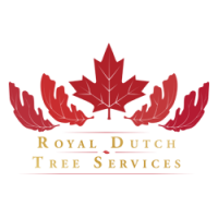 Royal dutch tree services
