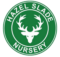 Slade nursery school
