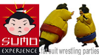 Sumo experience