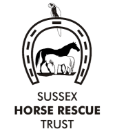 Sussex horse rescue trust