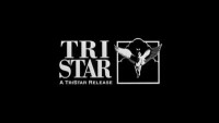 Tristar windows limited