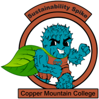 Copper mountain college
