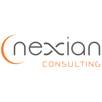 Nexian consulting