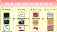 Alphenyx, human tissues sourcing and skin derived products