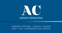 Adour consulting