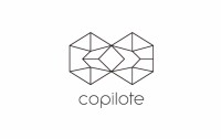 Copilote - coopérative de développement de projets artistiques