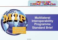 Mip (multilateral interoperability programme)