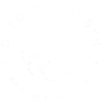 Octopus garden yoga