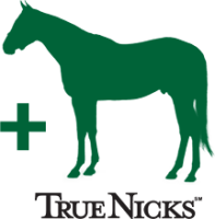 TrueNicks LLC