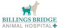 Billings bridge animal hospital