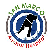 Marco veterinary hospital