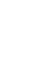 Merotoro