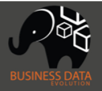 Business data evolution