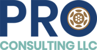 Pro consulting partners