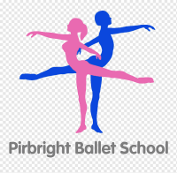Academia de danza y artes escénicas púrpura ballet