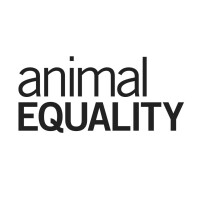 Animal equality italia