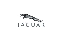 Jaguar treviso