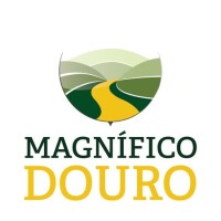 Magnifico travel limited