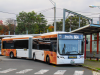 Willis Bus Lines