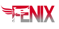Fenix consulting group
