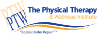 The physical therapy & wellness institute
