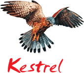 Kestrel liner agencies ltd