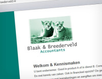 Blaak & breederveld accountants