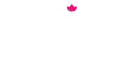 Bomba tacos & rum
