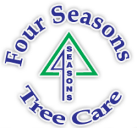 Four seasons tree care