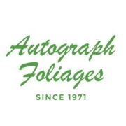 Autograph foliages