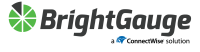 Brightgauge software